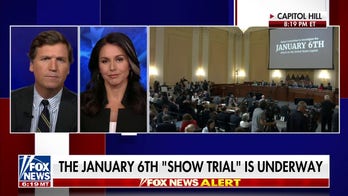 Tulsi Gabbard: Members of Congress don't care about the real problems we're facing