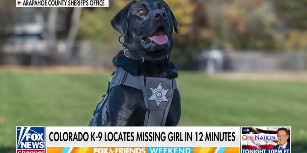 Colorado K-9 Rex locates missing girl in 12 minutes