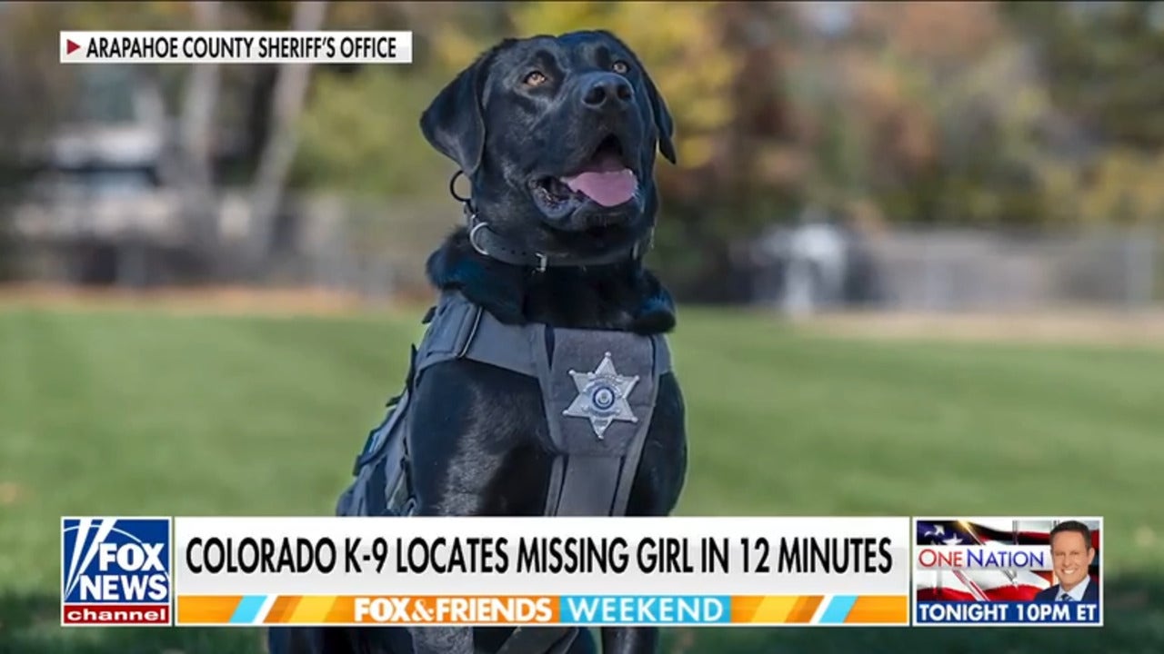 Colorado K-9 Rex locates missing girl in 12 minutes