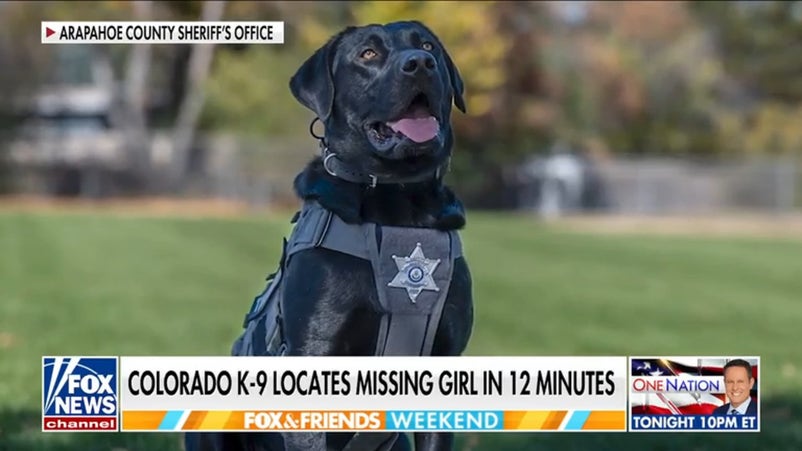 Colorado K-9 Rex locates missing girl in 12 minutes