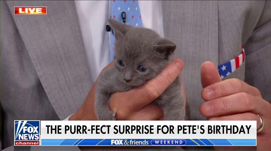 'Fox & Friends Weekend' celebrates Pete Hegseth's birthday with kittens