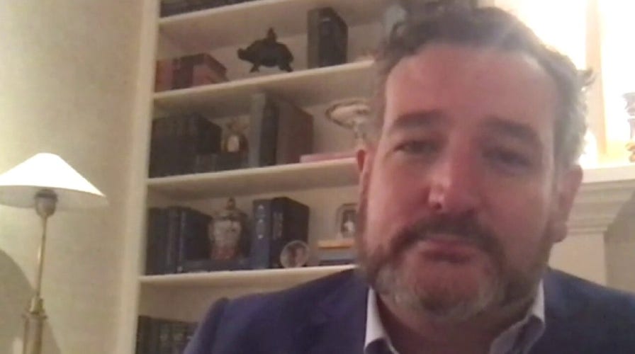 Sen. Ted Cruz on supporting salon owner who was jailed for defying coronavirus lockdown order	