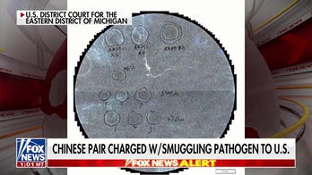 FBI director calls Chinese couple charged with smuggling pathogen to US a 'direct threat to national security'