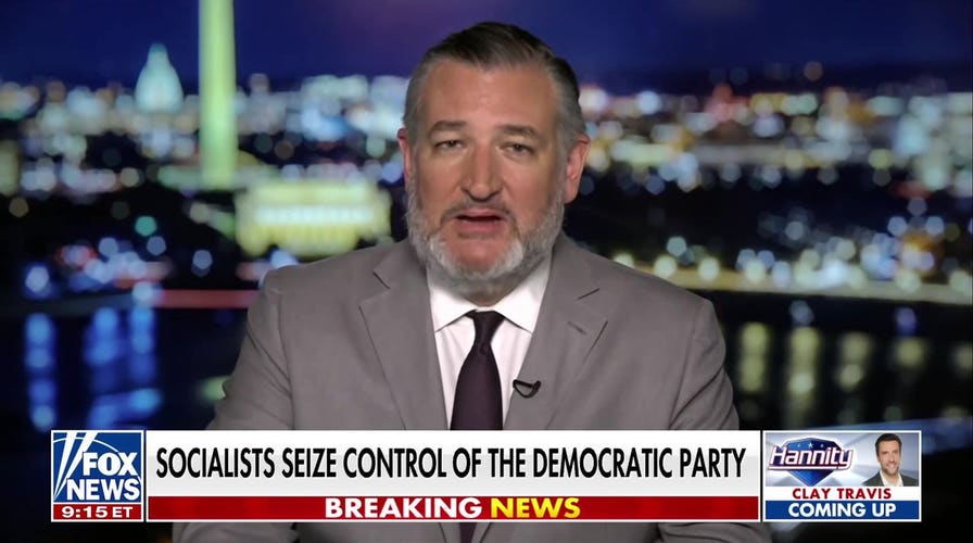 Sen Ted Cruz: Mamdani is the single most powerful Democrat in the party