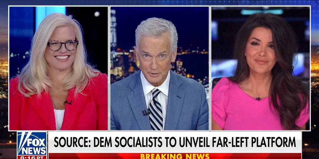 Democratic Party knew of Platner's 'vulnerabilities’: California assemblywoman