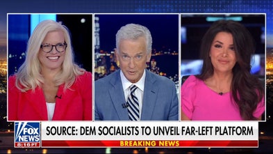 Democratic Party knew of Platner's 'vulnerabilities’: California assemblywoman