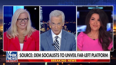 Democratic Party knew of Platner's 'vulnerabilities���: California assemblywoman