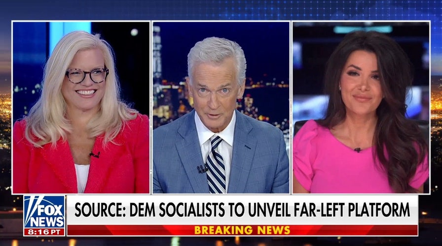 Democratic Party knew of Platner's 'vulnerabilities’: California assemblywoman