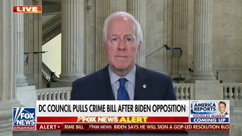 John Cornyn takes delegation of senators to the Texas-Mexico border