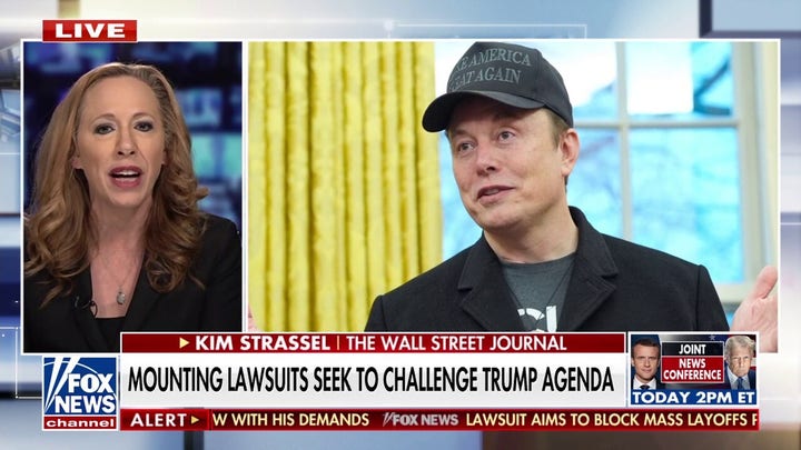 Senator lashes out at Musk over federal worker ultimatum: 'Just a d***'