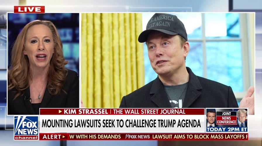Senator lashes out at Musk over federal worker ultimatum: 'Just a d***'