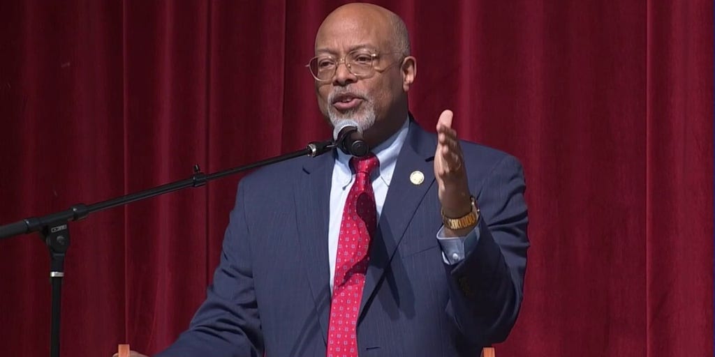 House Dem takes shot at Schumer during town hall