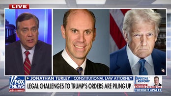 Jonathan Turley says Trump admin. 'likely to prevail' in deportation flight legal battle