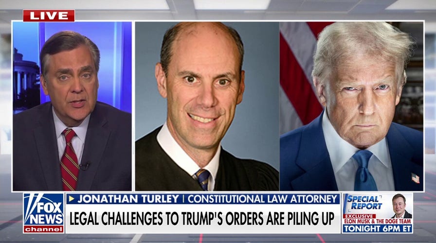 Jonathan Turley says Trump admin. 'likely to prevail' in deportation flight legal battle