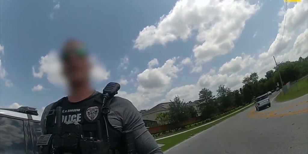 Florida Cop Arrested, Stripped Of Duties After Sheriff's Deputy Stops ...