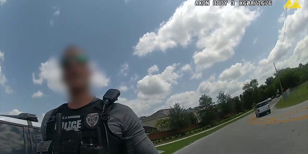 Florida cop arrested, stripped of duties after sheriff's deputy stops