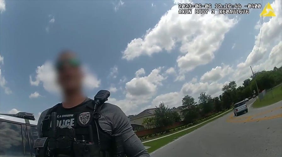 Florida cop arrested, stripped of duties after sheriff's deputy stops him for 'reckless driving'