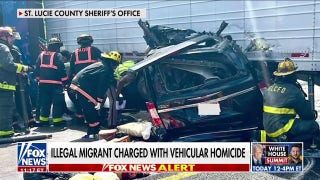DETAILS: Illegal migrant trucker released on bond after deadly Florida crash - Fox News