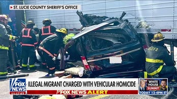 DETAILS: Illegal migrant trucker released on bond after deadly Florida crash