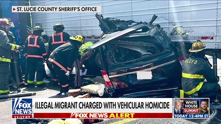 DETAILS: Illegal migrant trucker released on bond after deadly Florida crash