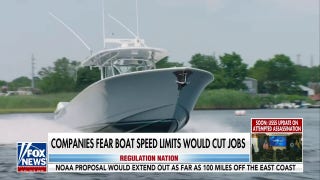 Biden administration could put speed limits on boats to protect whales - Fox News