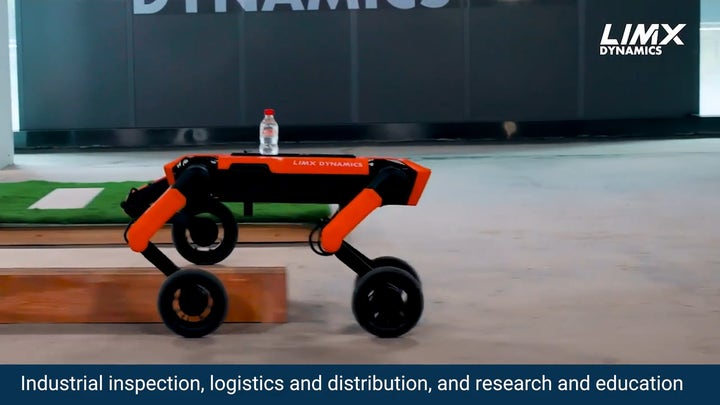 This robot with wheels can master almost any terrain