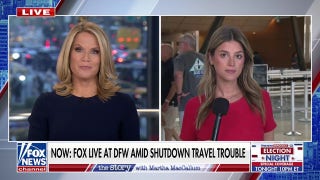 Government shutdown hits one month, sparks holiday travel chaos