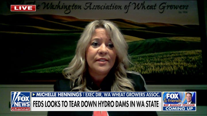 Hydro dams are vital despite Biden admin efforts to remove them, Michelle Hennings says