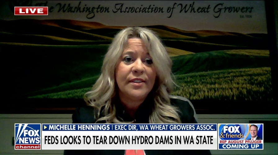 Hydro dams are vital despite Biden admin efforts to remove them, Michelle Hennings says
