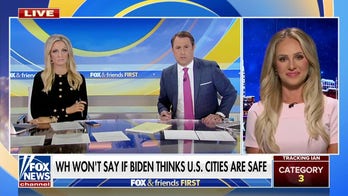 Tomi Lahren rips Karine Jean-Pierre's non-answers on crime in US cities: 'Huge vulnerability' for Dems