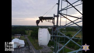 Bald eagle rescued from communications tower in New Jersey - Fox News