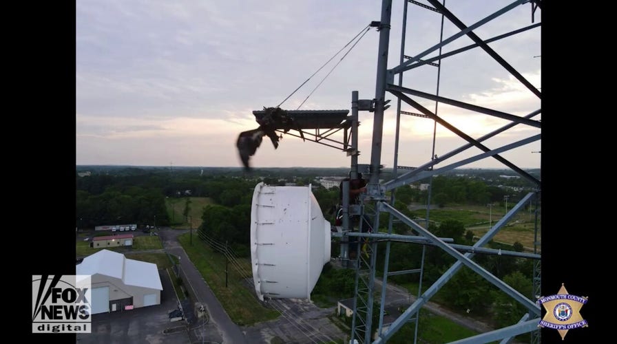 Bald eagle rescued from communications tower in New Jersey