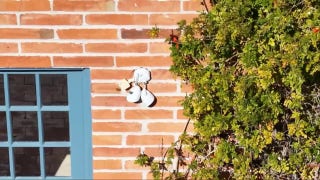 Broken flood lights spotted at Nancy Guthrie's house - Fox News