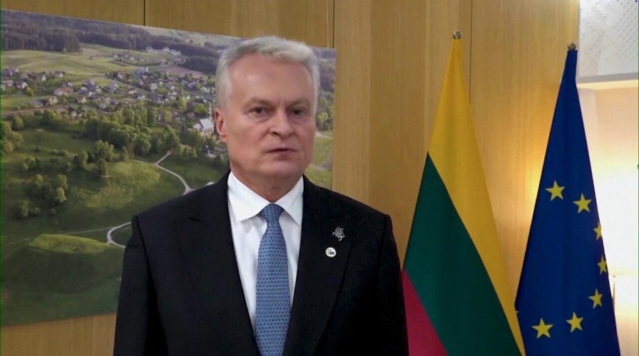 Lithuanian president condemns Russia's violation of his country's airspace