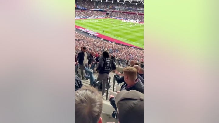 WATCH: Brawl breaks out at Premier League match