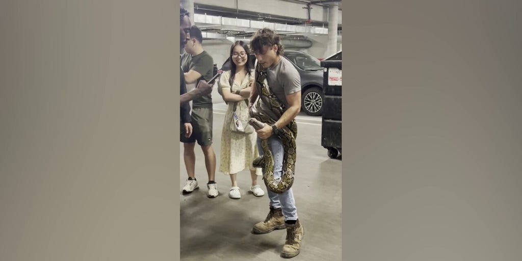 Reptile hunter removes 16-foot python from LA apartment building dumpster
