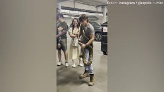 Reptile hunter removes 16-foot python from LA apartment building dumpster