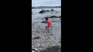 Florida girl has 'rocky' experience on Maine beach: See her poignant reaction - Fox News