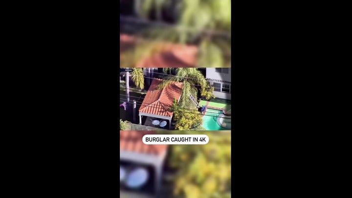 California burglar slips off ladder, falls into pool