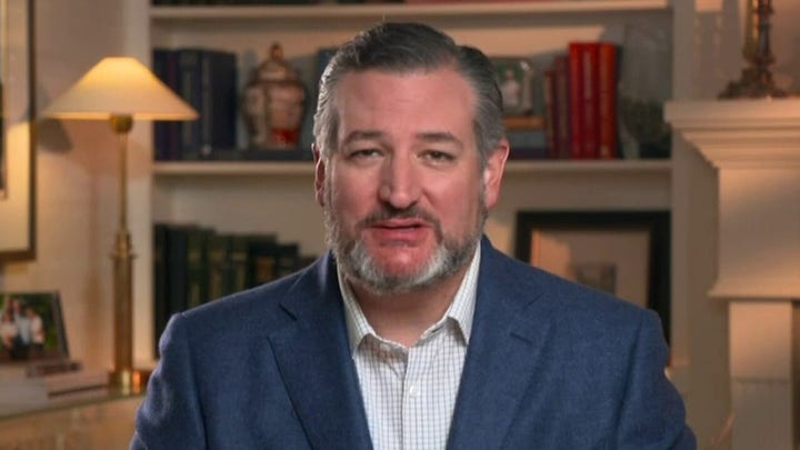 Ted Cruz slams media as 'partisan propagandists' covering up real news