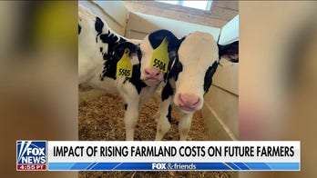 Surging farmland costs pricing farmers out of the market