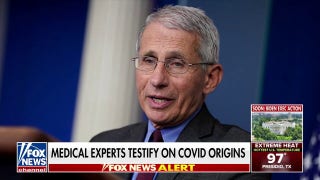 Senators press experts on the COVID-19 lab leak theory - Fox News