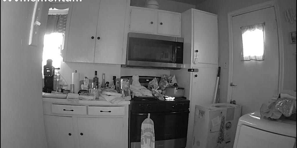 Video shows cat jump onto stovetop, turn on burner, igniting fire