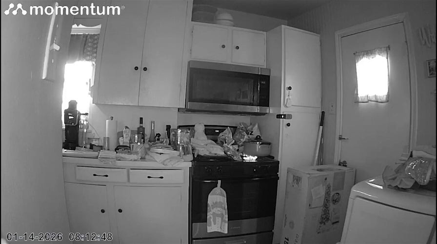 Video shows cat jump onto stovetop, turn on burner, igniting fire
