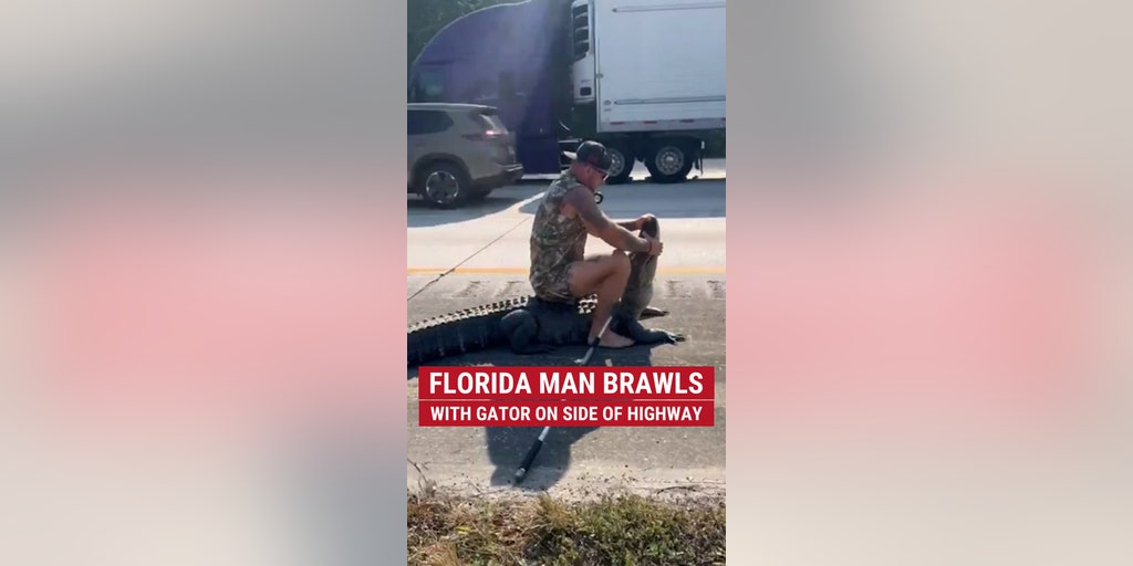Florida man wrestles with gator on side of highway