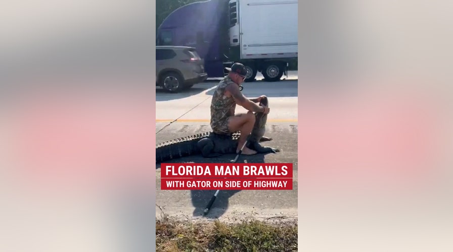 Florida man wrestles with gator on side of highway