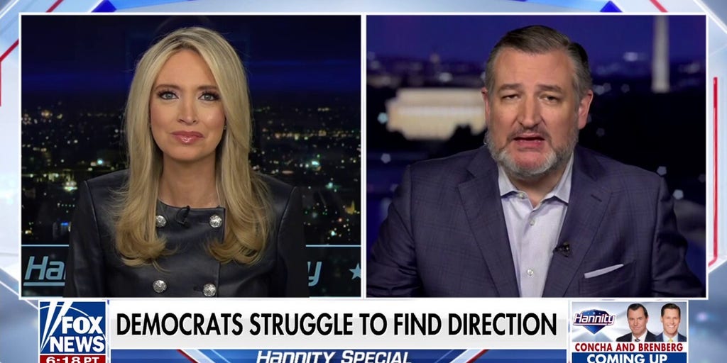 Democrats are the party of 'rage and hatred': Ted Cruz