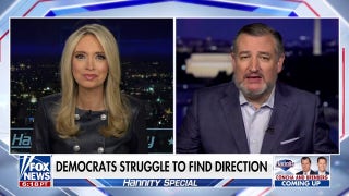 Democrats are the party of 'rage and hatred': Ted Cruz