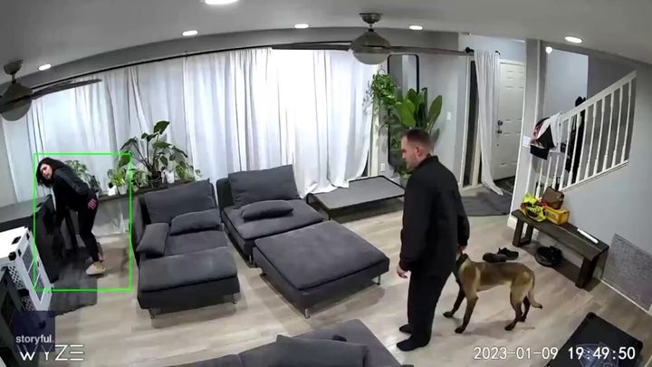 California couple trap themselves in dog crates — watch what happens