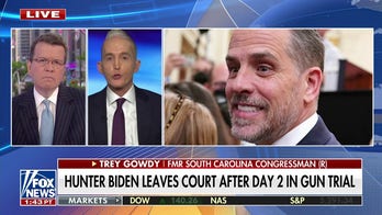 Trey Gowdy says you can 'rule this out' in the Hunter Biden gun trial
